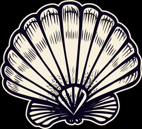 Shell